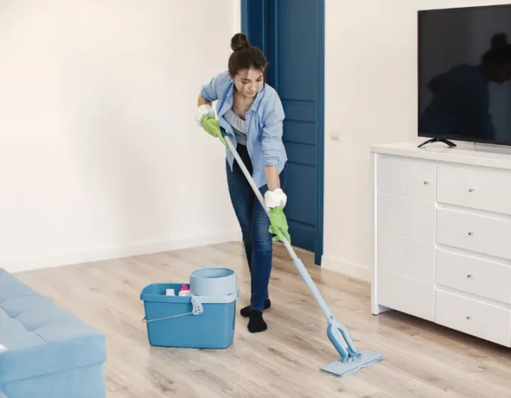 Femme de ménage La Fouillouse